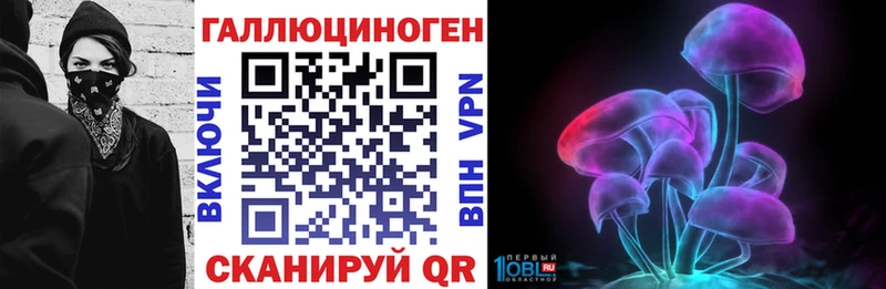 где найти   Выкса  Галлюциногенные грибы Psilocybine cubensis 