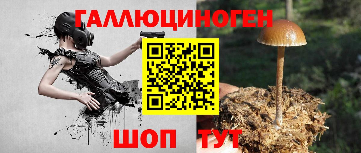 Выкса  Псилоцибиновые грибы Magic Shrooms  Вход с VPN 